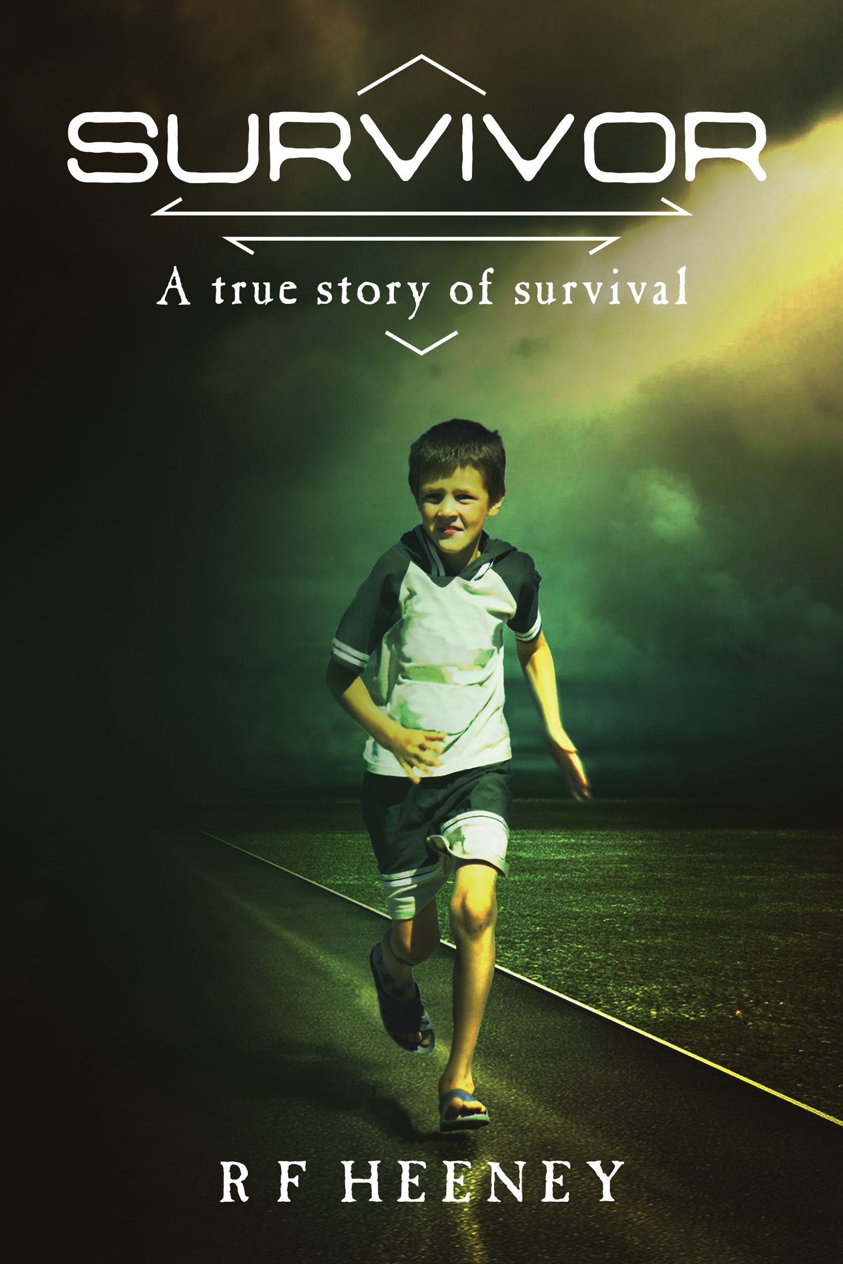 Front cover of Survivor